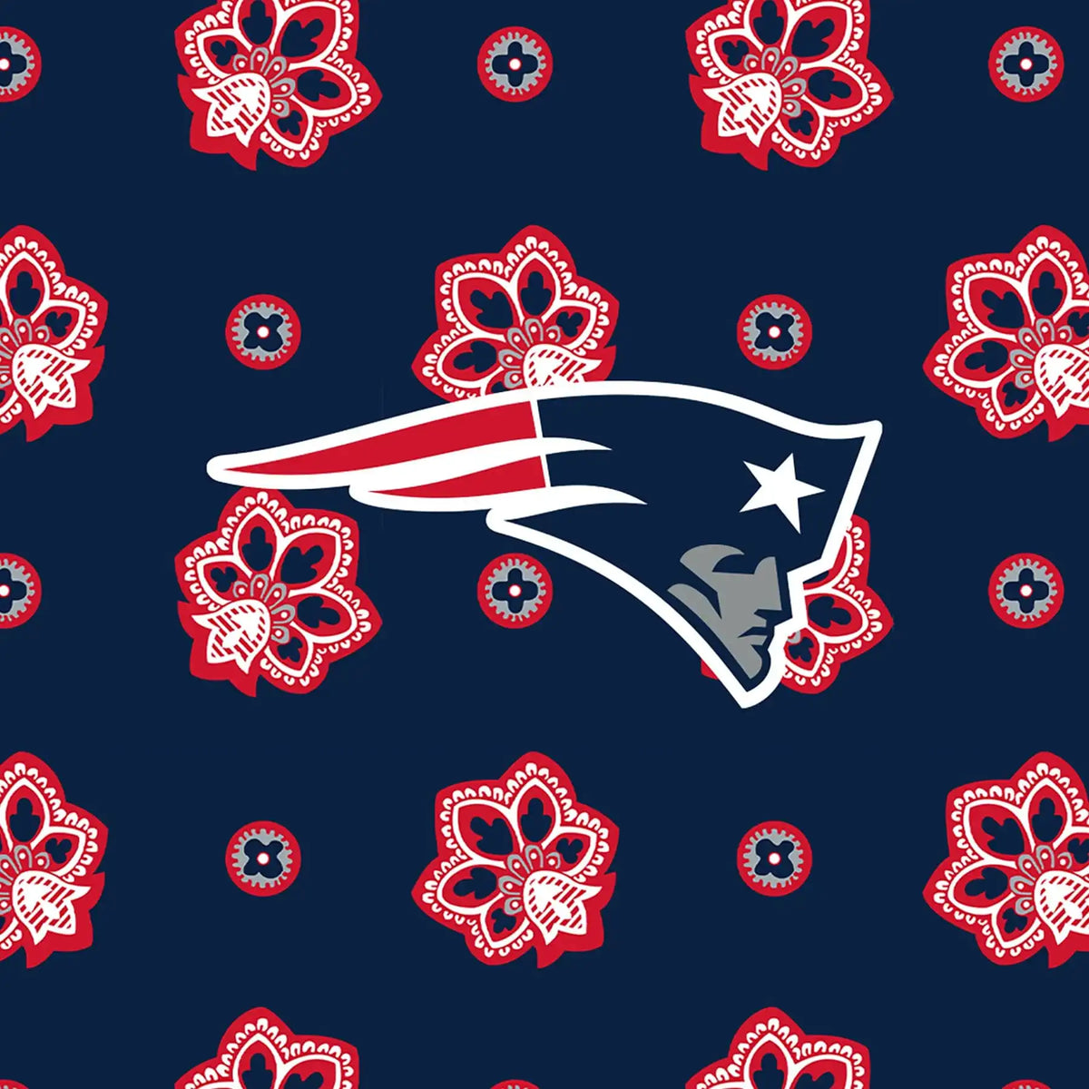 NFL Clear Small Belt Bag